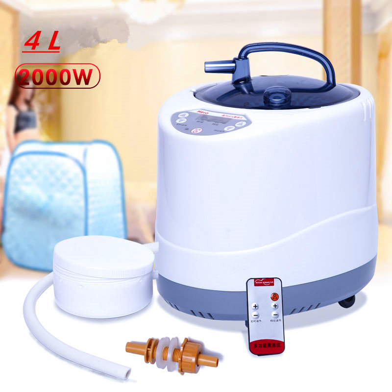 Steam Generator 220V/110V  EU  - Home Bathroom Sauna recensie en prijs